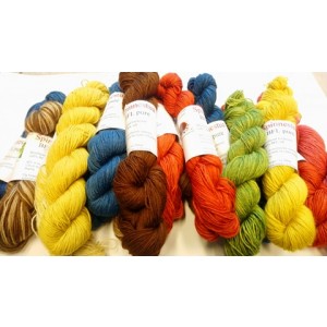 Blue face leichester - BFL