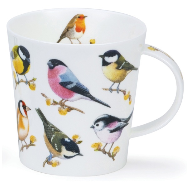 Song bird willow