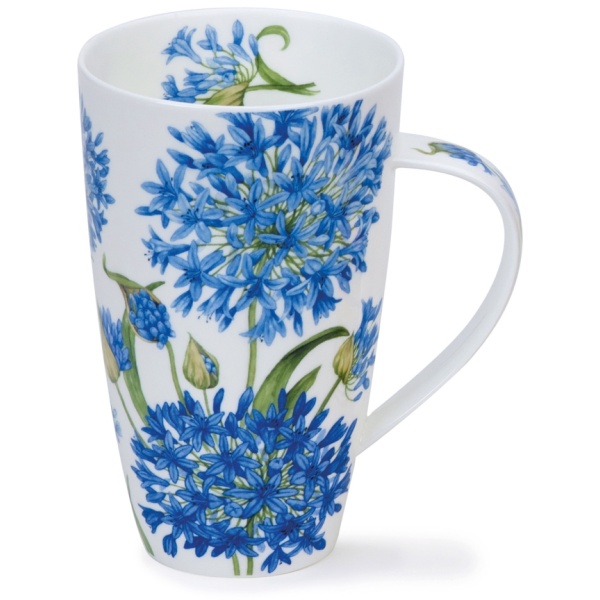 Agapanthus