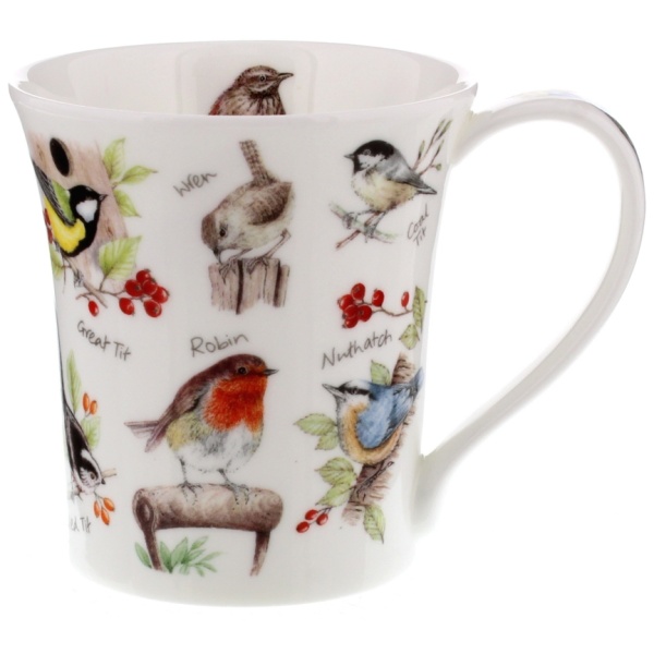 Birdlife - Robin