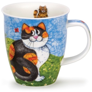 Happy cats tortoiseshell