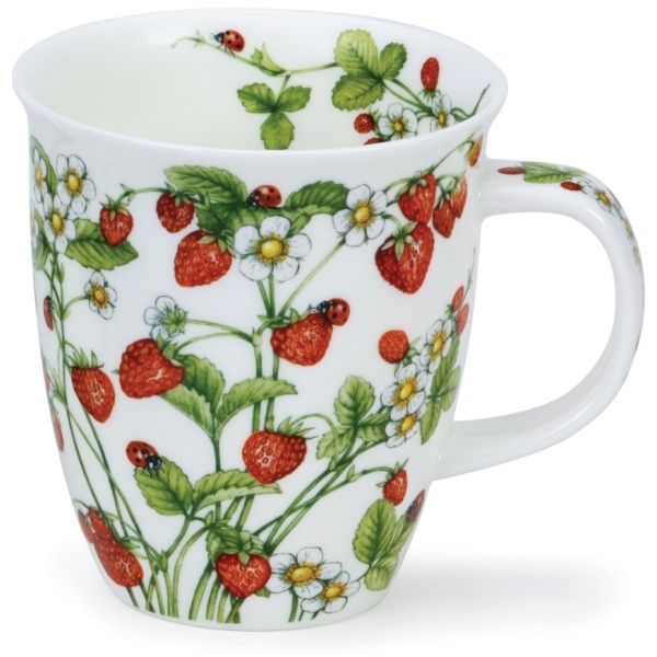 wild fruits strawberry