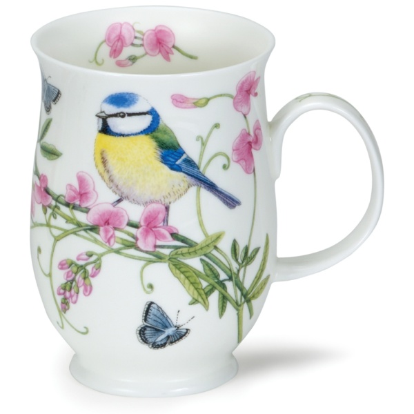 Hedgerow birds - Blue tit