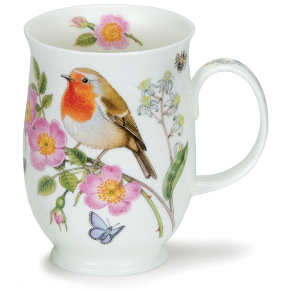 Hedgerow birds - Robin