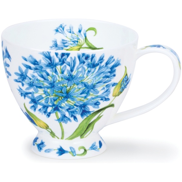 Agapanthus