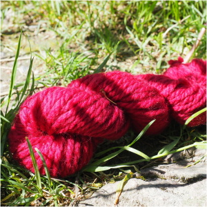Kurs med kochenille - 4. juni