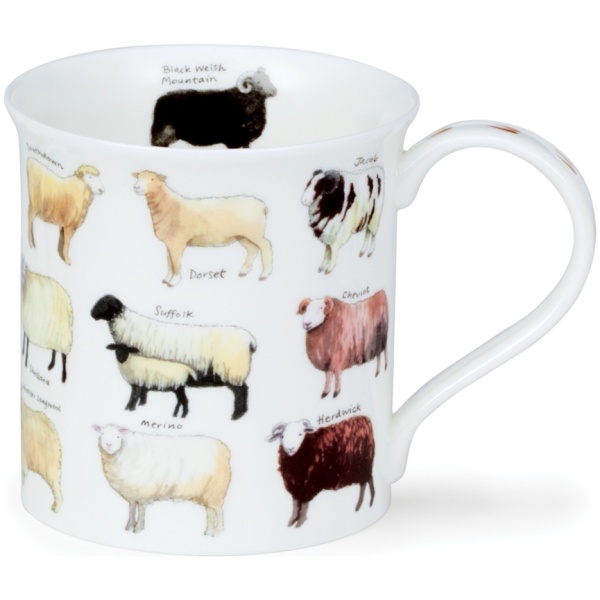 Animal breeds - Sheepies
