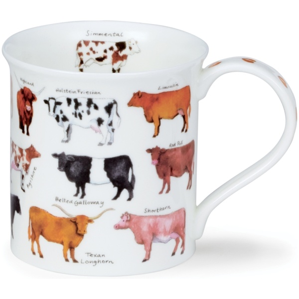 Animal breeds - Cow