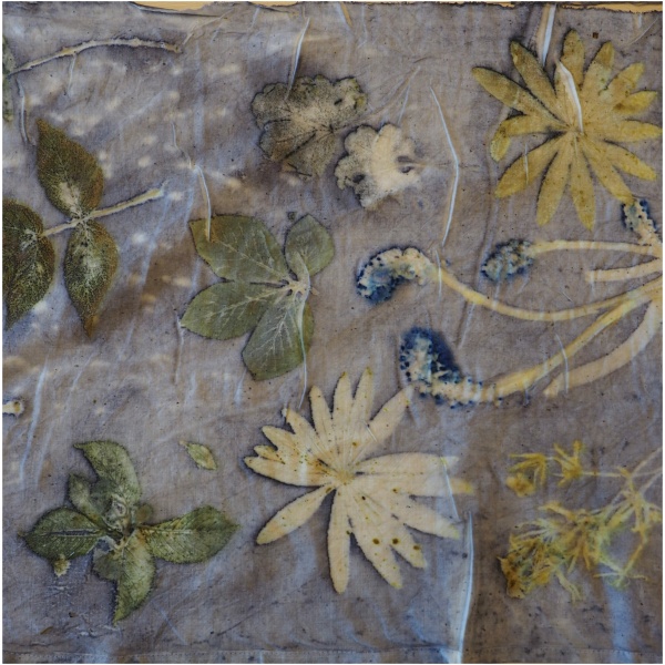 Ecoprint/botanisk trykk på papir og tekstiler 19. og 20. august