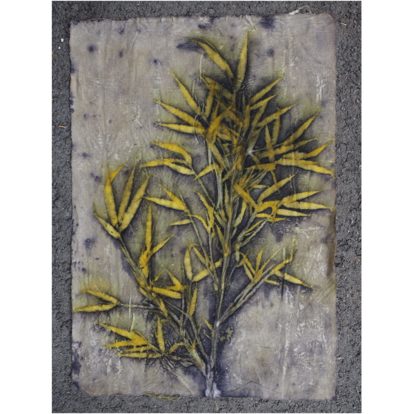 Kurs i botanisk trykk/ecoprint, trykk med planter på papir og tekstiler- 4. og 5. mai - Bilde 5