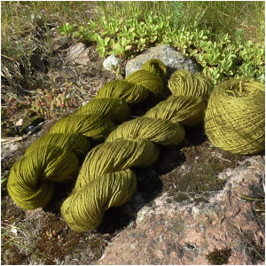 Kurs- med grønnfarger - 22. mai - FULLTEGNET